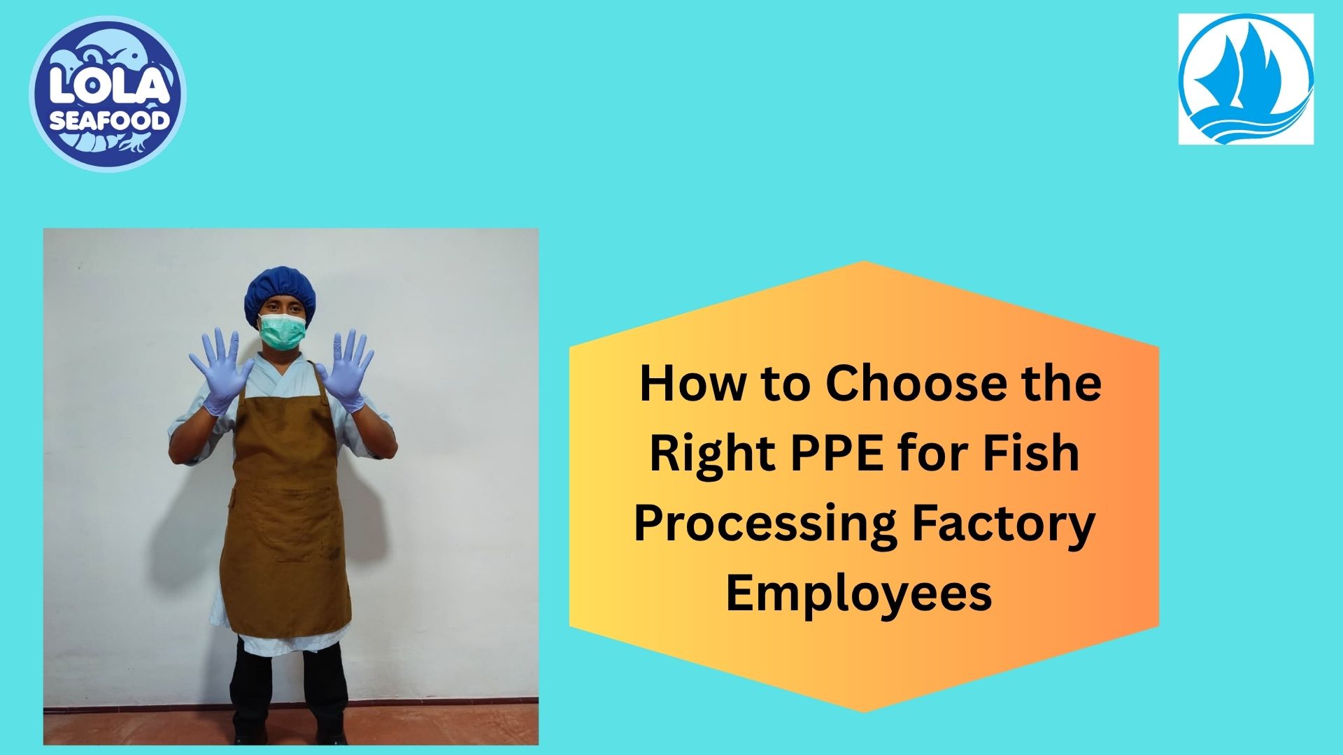   How to Choose the Right PPE for Fish Processing Factory Employees 